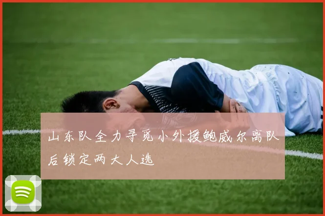山东队全力寻觅小外援鲍威尔离队后锁定两大人选