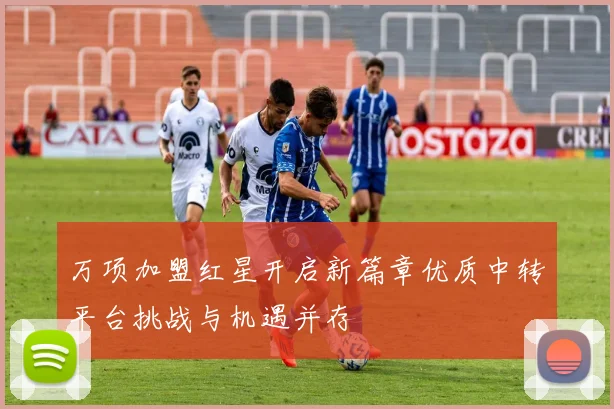万项加盟红星开启新篇章优质中转平台挑战与机遇并存