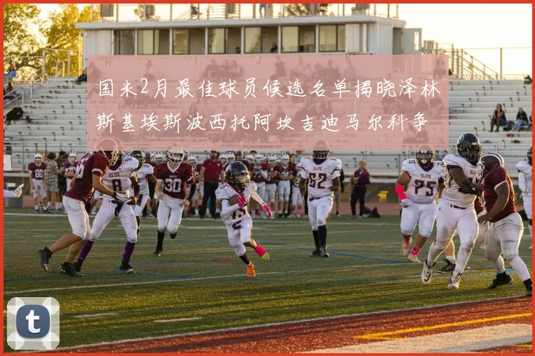 国米2月最佳球员候选名单揭晓泽林斯基埃斯波西托阿坎吉迪马尔科争夺荣誉